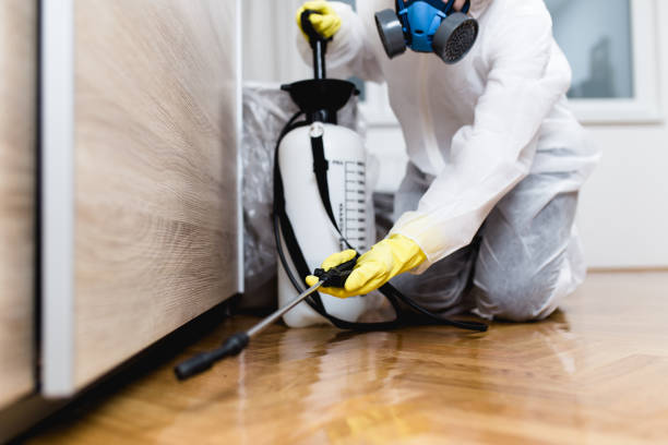 Best Local Pest Control Services  in Monarch Mill, SC