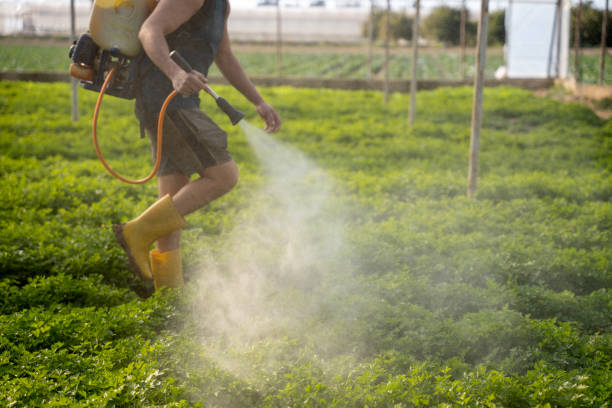 Best Best Pest Control Companies  in Monarch Mill, SC