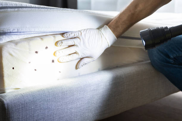 Best Residential Pest Control  in Monarch Mill, SC